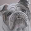 Bugsy