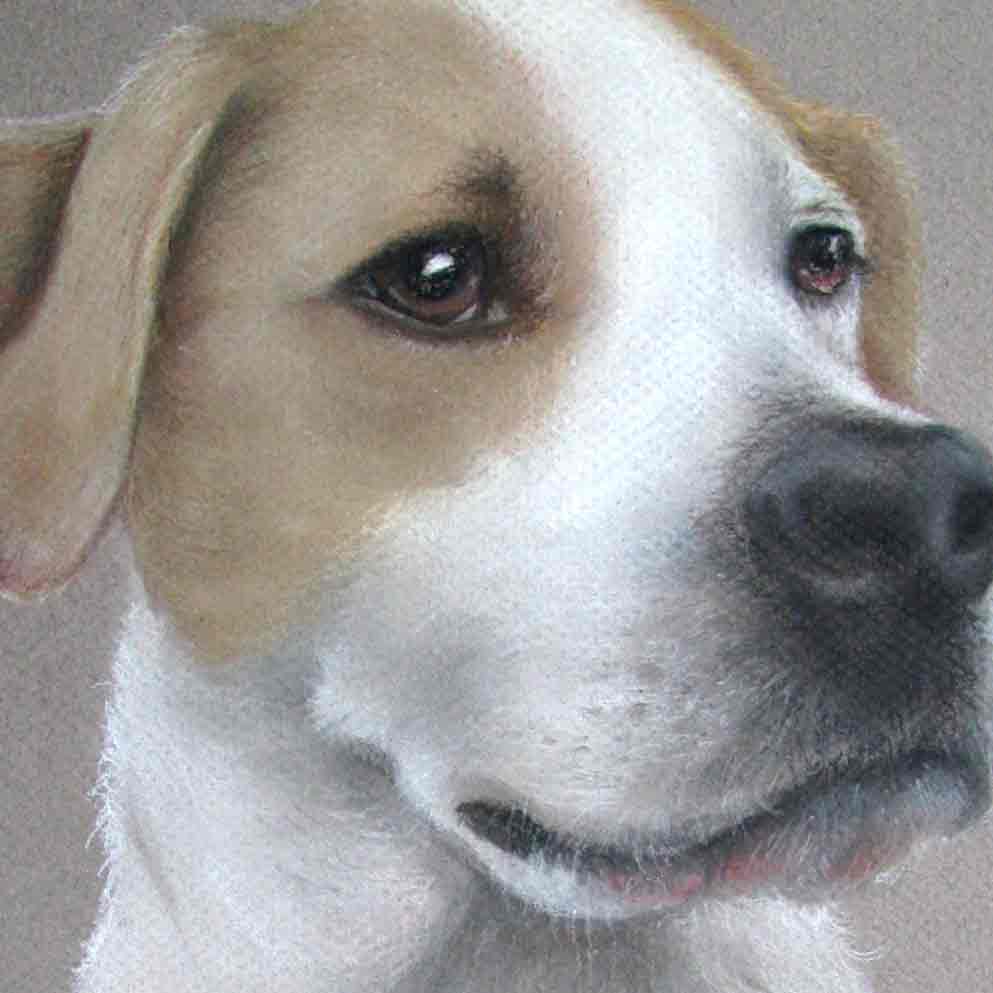 Buster