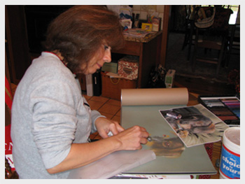 Shelley at work